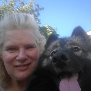 Meet your Posher, Jane